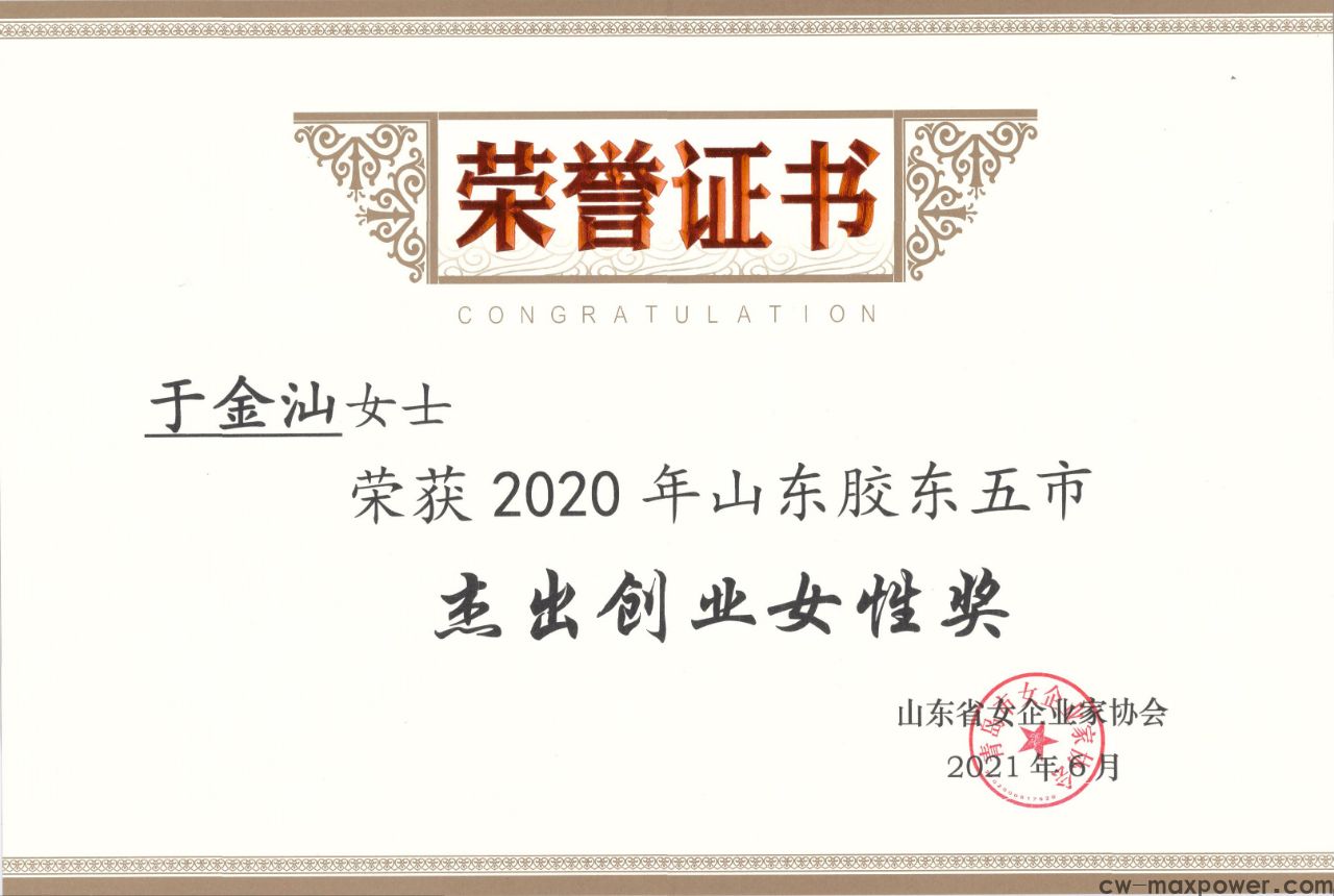 喜報！于金汕總經理榮獲2020年山東膠東五市杰出創(chuàng)業(yè)女性獎(圖2)